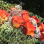 ����������� � �������� ������������� ������� ���� - 8 ����� 2025 ����!