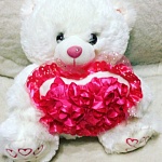 ���� ��������� ������ ������ - 2026